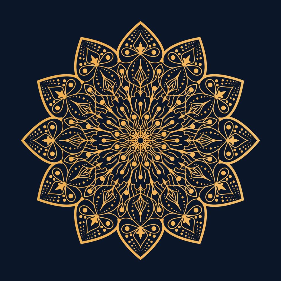 luxury mandala bd vector