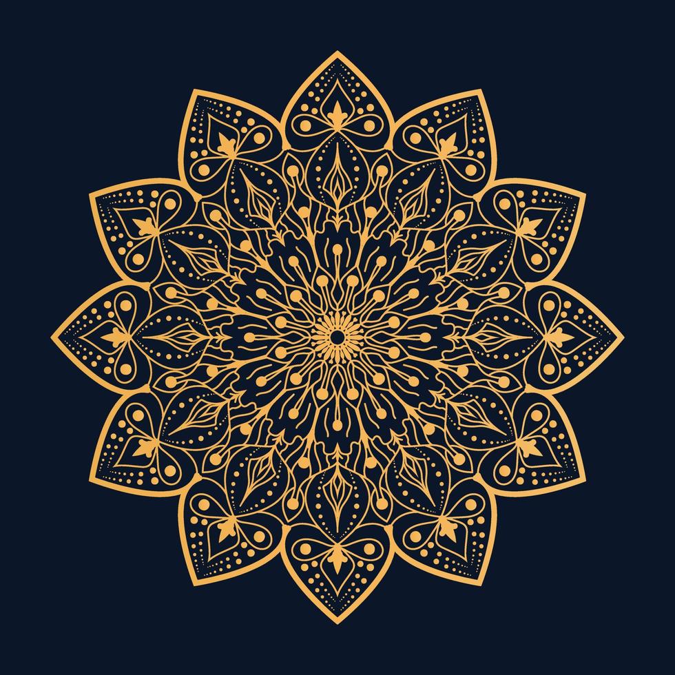 mandala de lujo bd vector