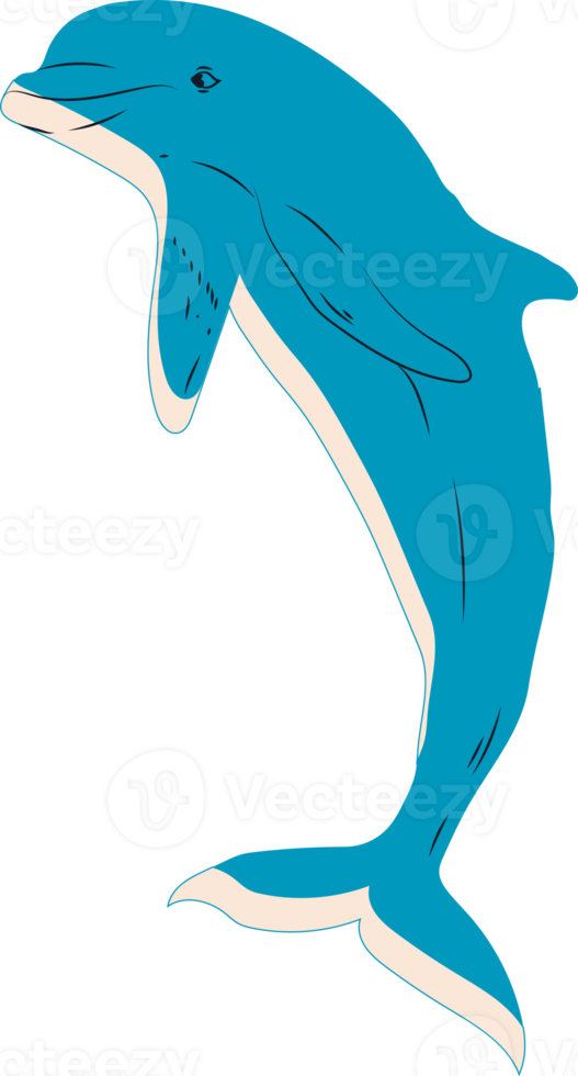 Hoppar delfin teckning i tecknad serie stil. Allt element är isolerat png