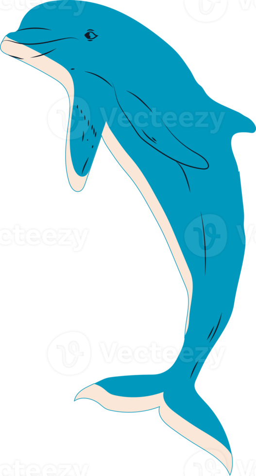 Jumping dolphin drawing  in cartoon style. All elements are isolated png
