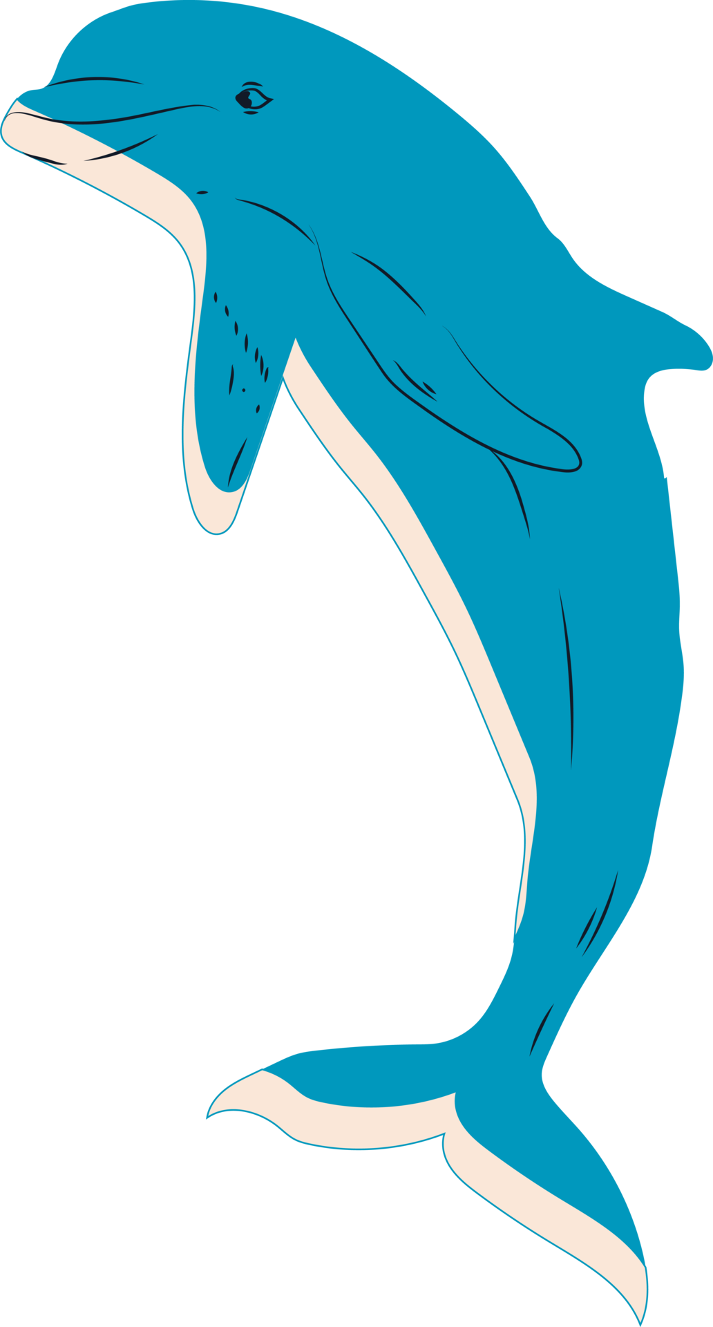 Free Jumping dolphin drawing in cartoon style. All elements are isolated  13760753 PNG with Transparent Background