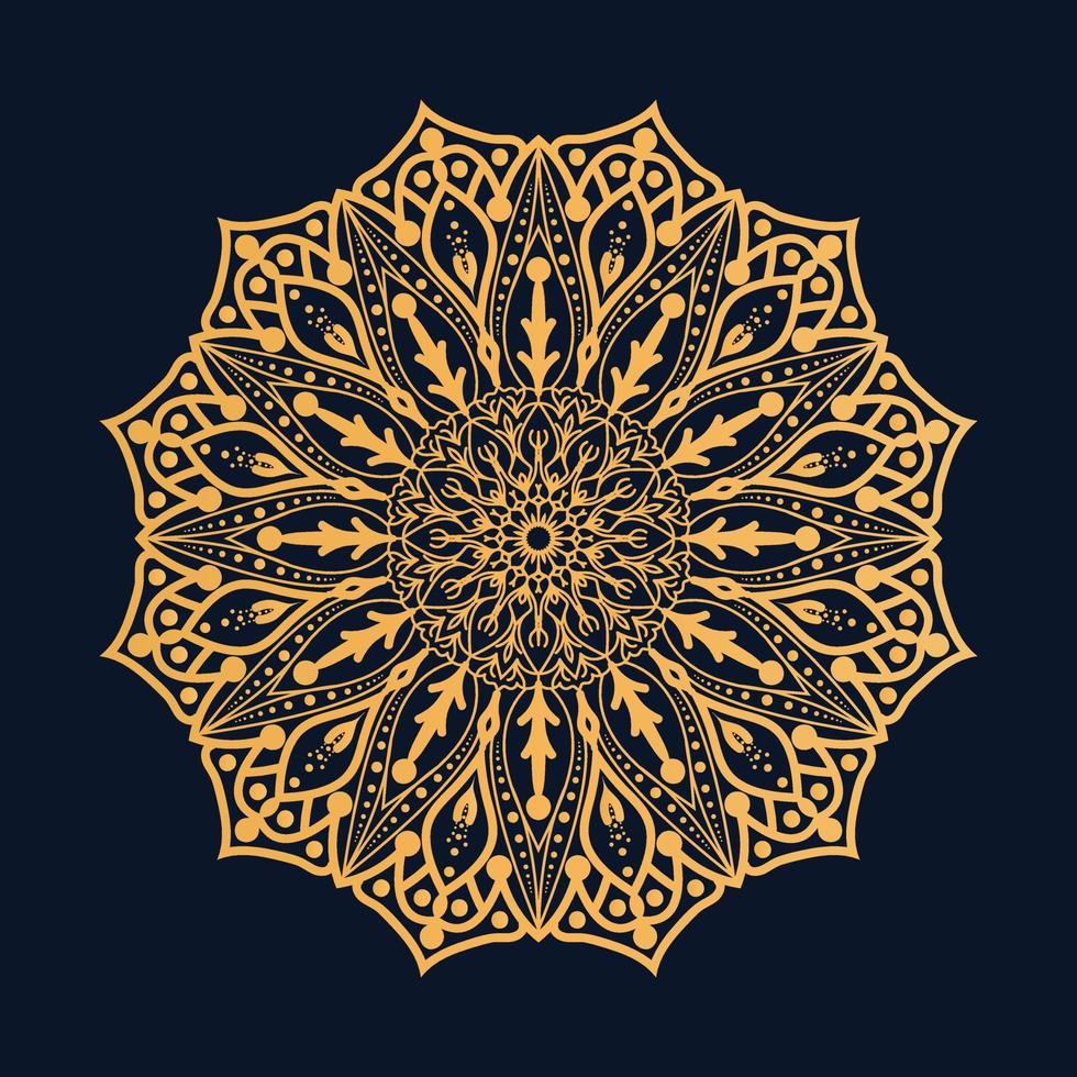 luxury mandala bd vector