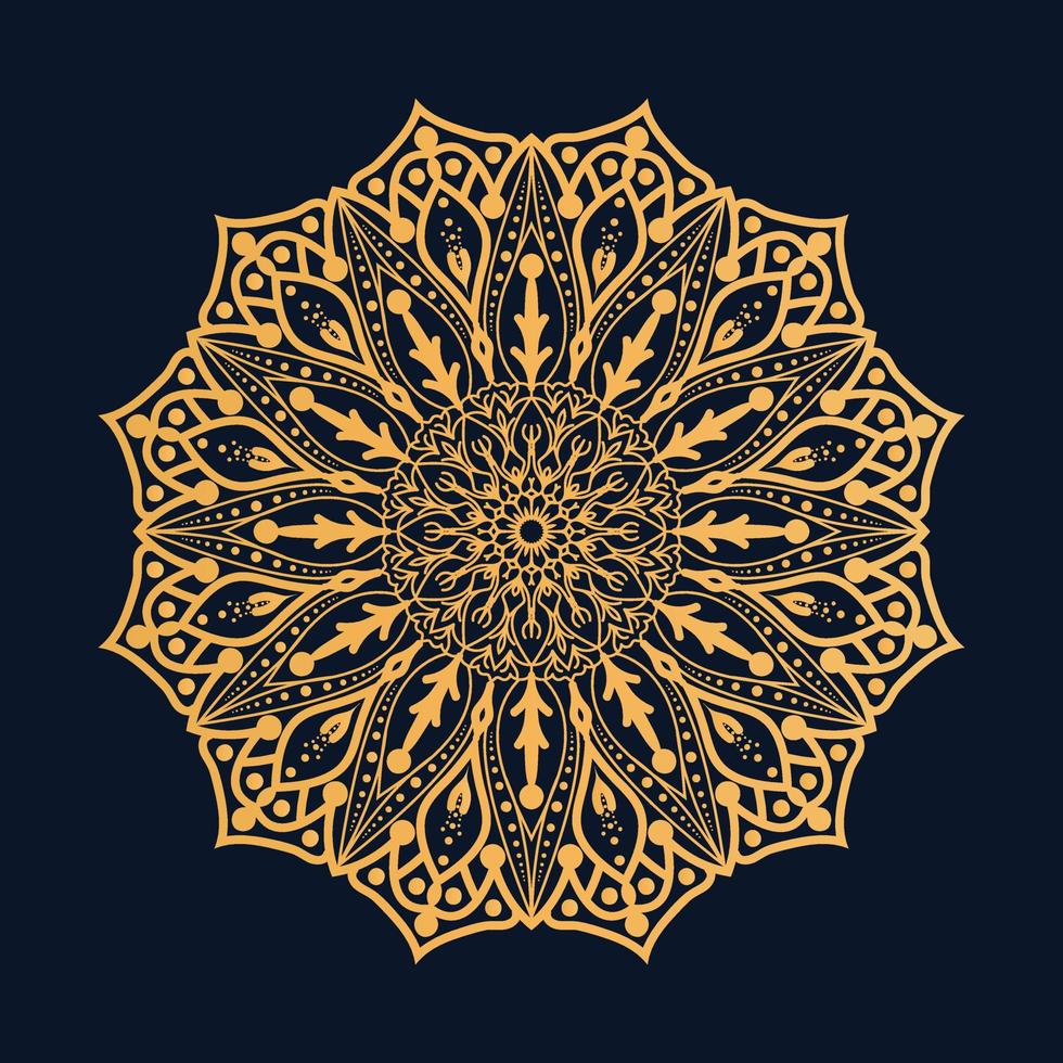 mandala de lujo bd vector