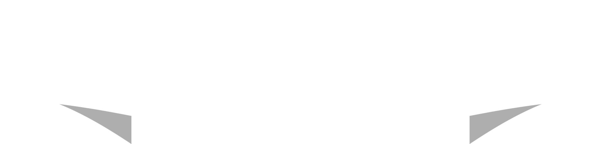 Colorful Ribbon, Label png