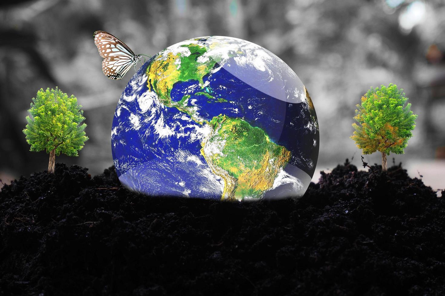 The concept of loving the earth and the environment. globe on earth photo