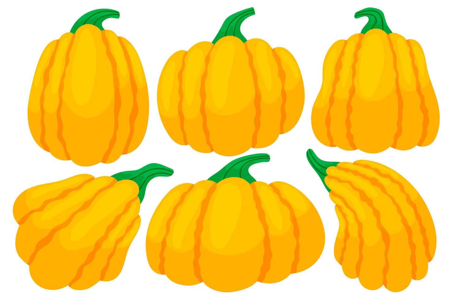 Set of colorful thanksgiving pumpkins. Cartoon and flat style. Vector illustration isolated on white background.