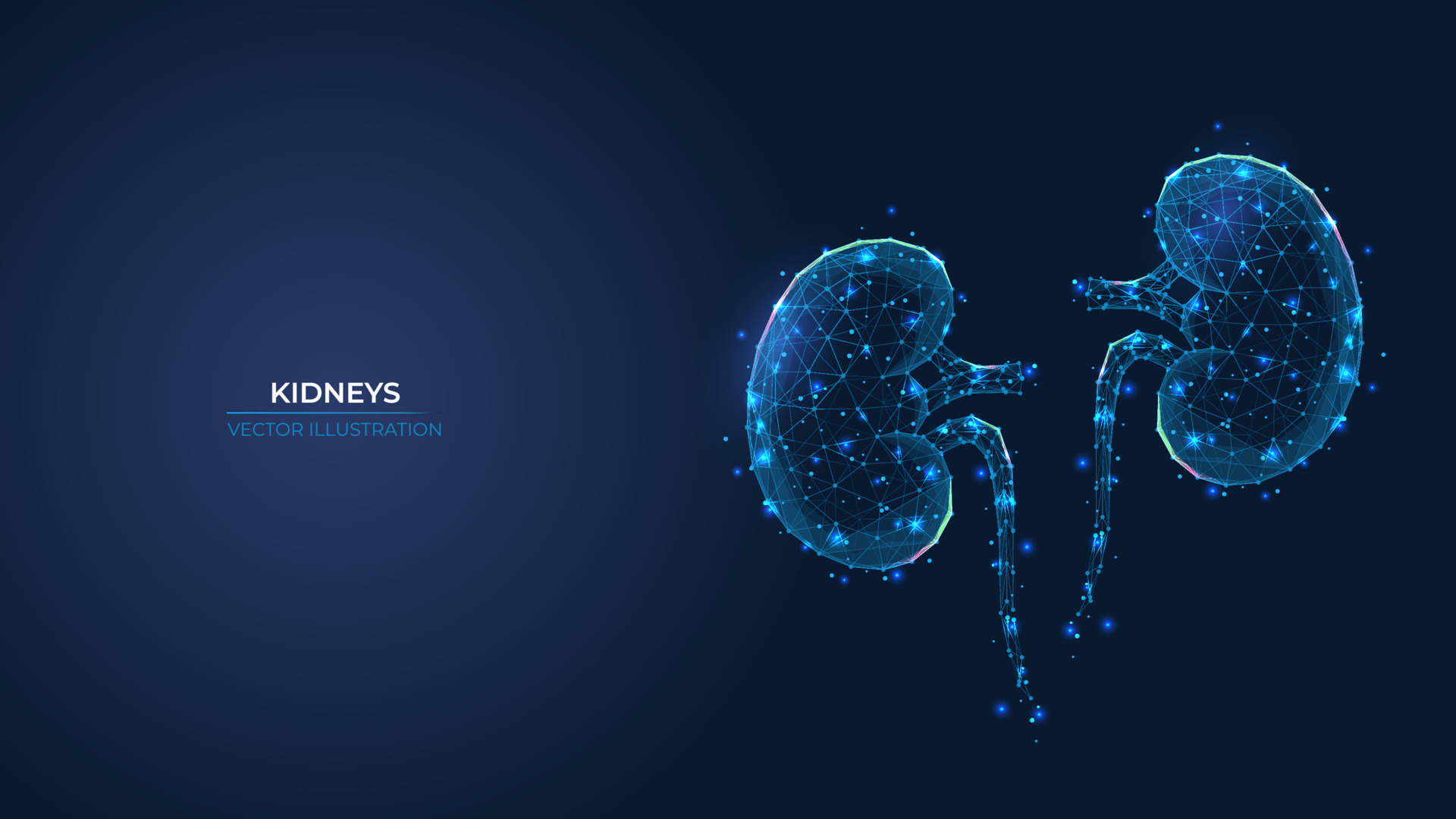 Futuristic abstract symbol of the human kidney. Concept treatment of