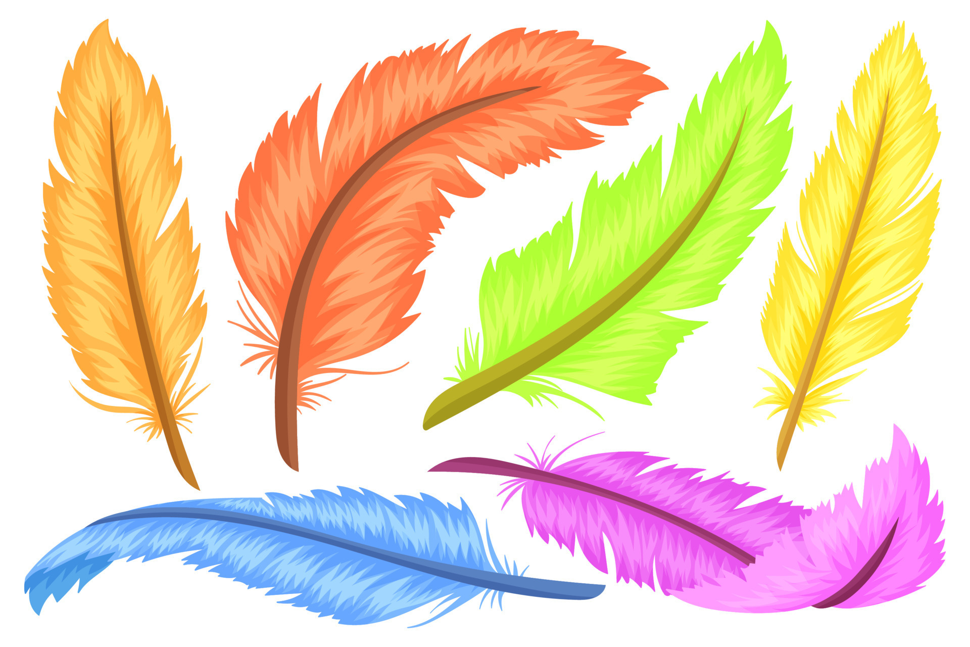 conjunto de plumas de colores, diferentes formas y colores. dibujos  animados y estilo plano. ilustración vectorial aislado sobre fondo blanco.  13761434 Vector en Vecteezy