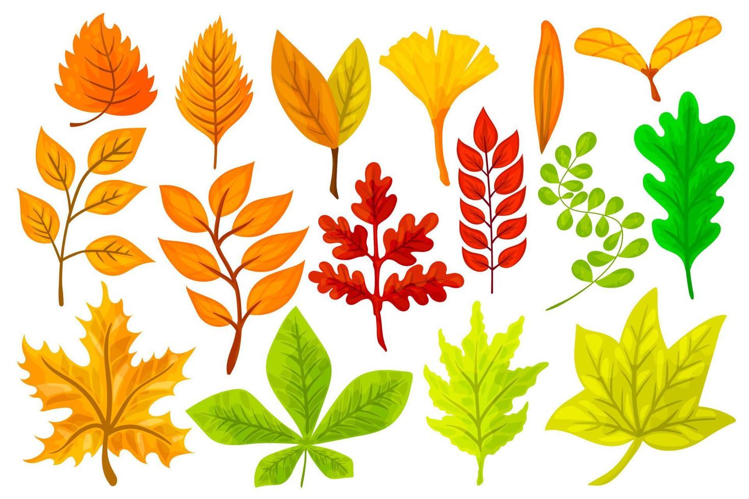 Set of colorful cartoon autumn leaves. Vector illustration isolated on a white background.