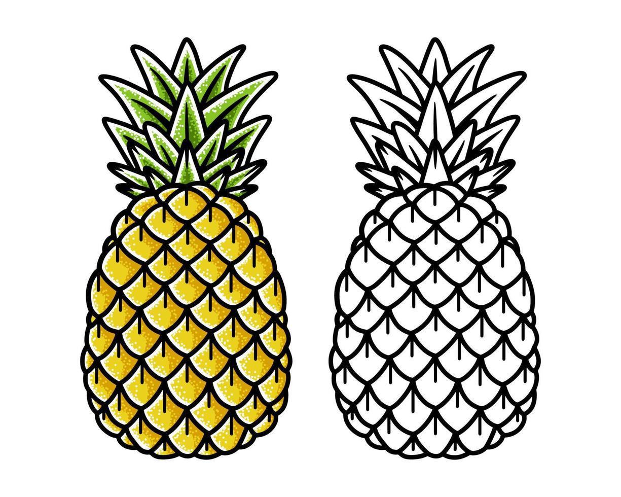 Pineapple hand drawing old school tattoo. Vector illustration on white background.