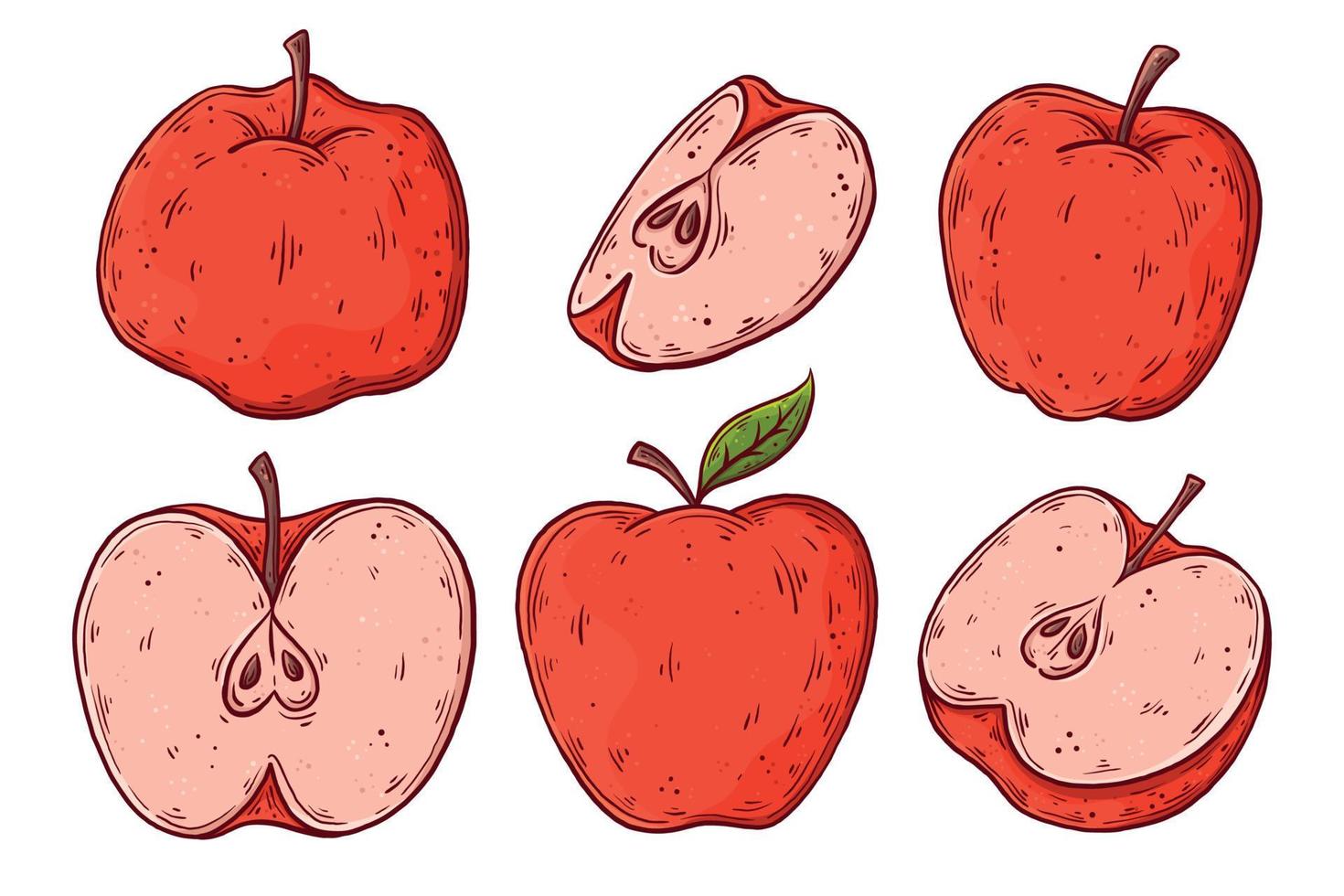 Hand drawn red apple collection. Fresh fruit isolated vector illustration.