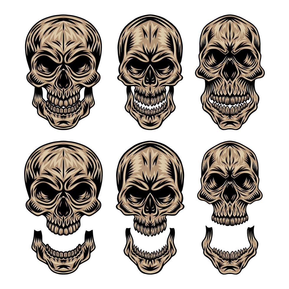 Set of Vintage retro human skull and jaw isolated vector illustration on a white background. Design element.
