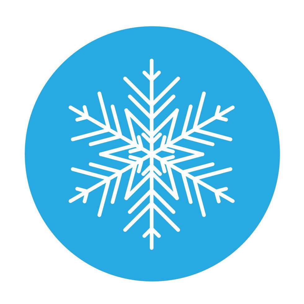 Vector  winter snowflake icon. illustration for web