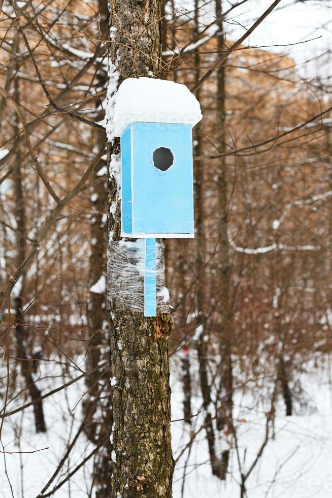 birdhouse with snowdrift in urban park photo