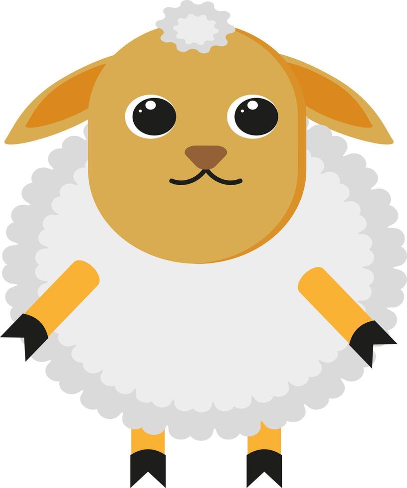 White sheep, illustration, vector on a white background.