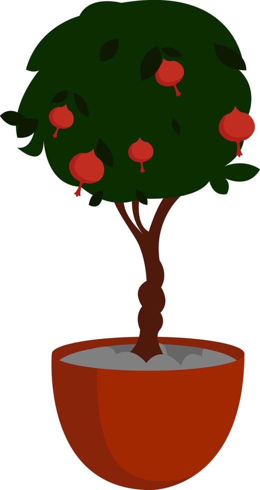 Árbol de granada, ilustración, vector sobre fondo blanco.