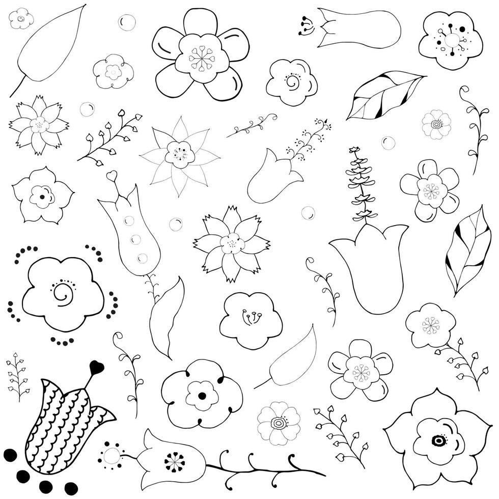 Doodle illustration collection with various flowers, leaves and branches. Floral scribble set. vector