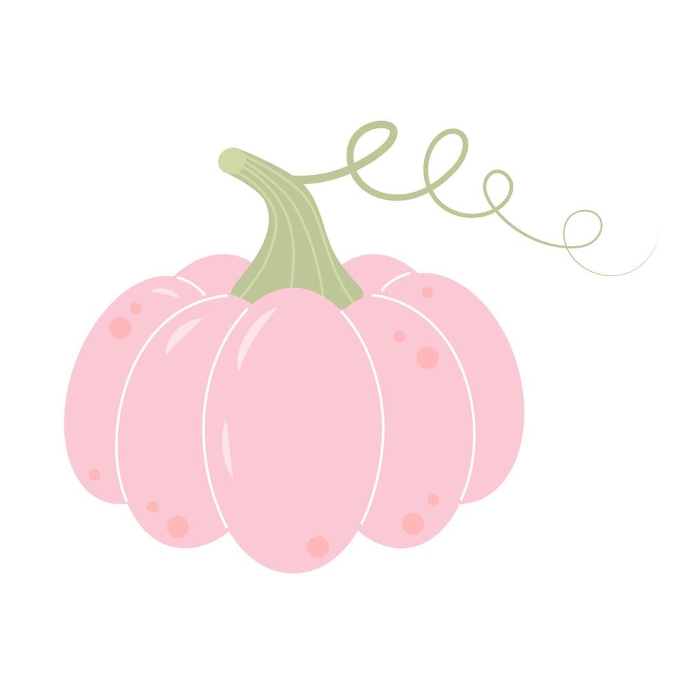 calabaza boho pastel aislada sobre fondo blanco. día de acción de gracias, fiesta de la cosecha, símbolo de halloween. vector