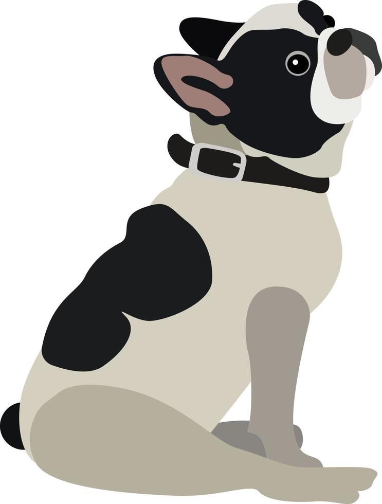 Cute dog sitting, illustration, vector on white background.