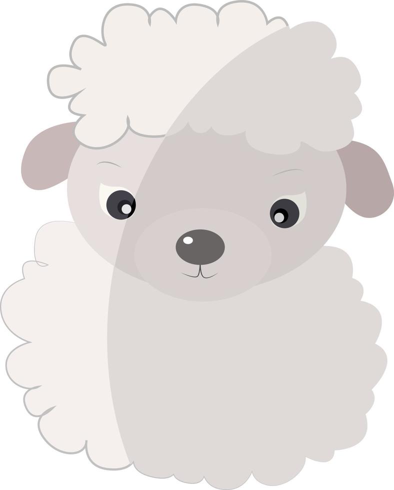 Baby sheep, illustration, vector on white background.
