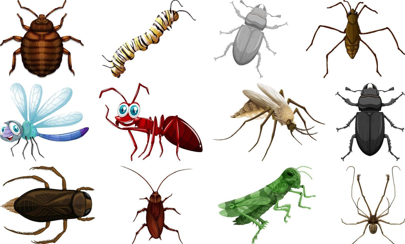 Different kinds of insects collection vector