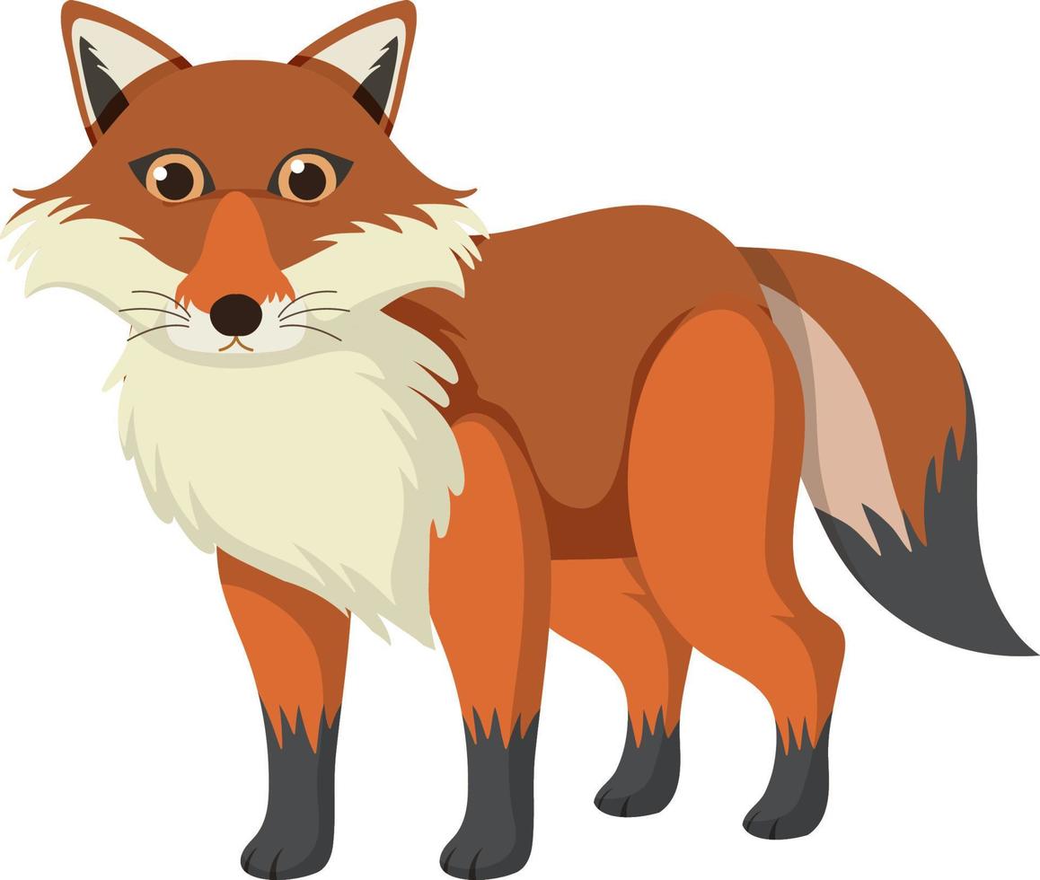 Cute fox in flat cartoon style vector