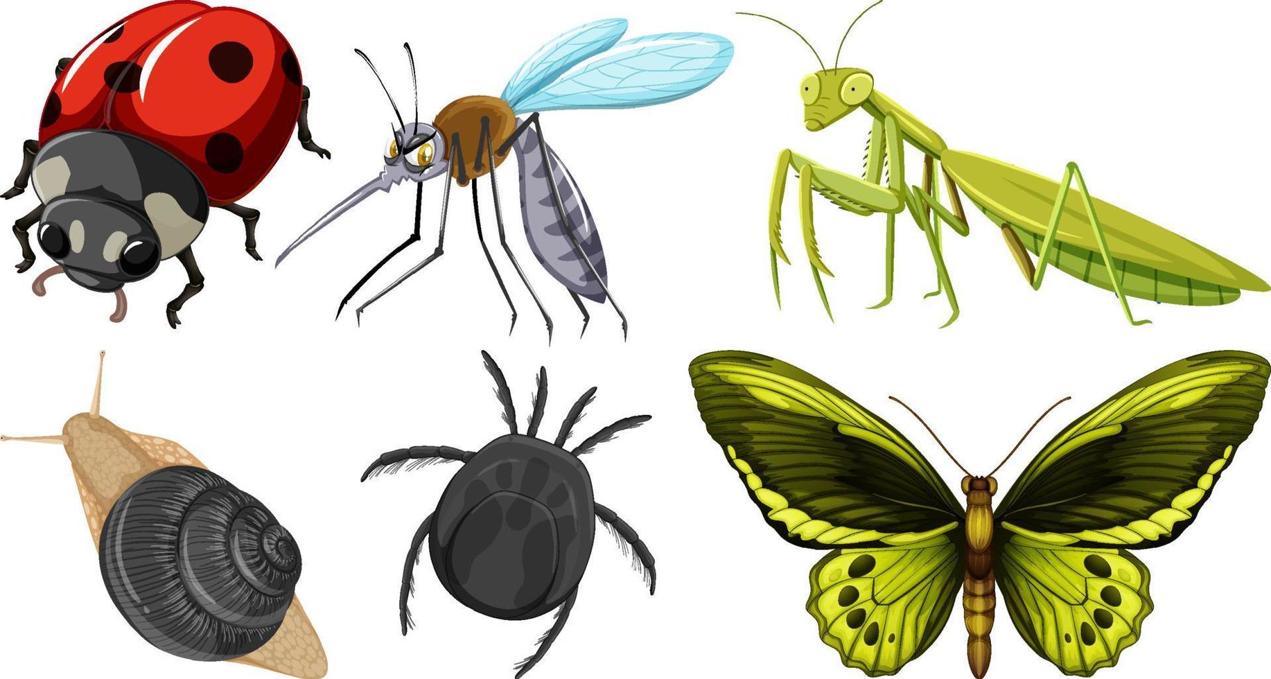 colección de diferentes vectores de insectos