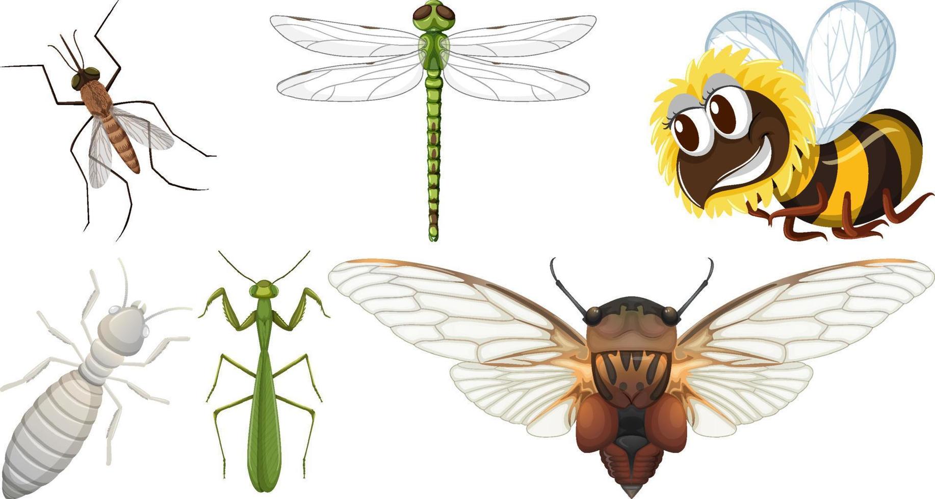 colección de diferentes vectores de insectos