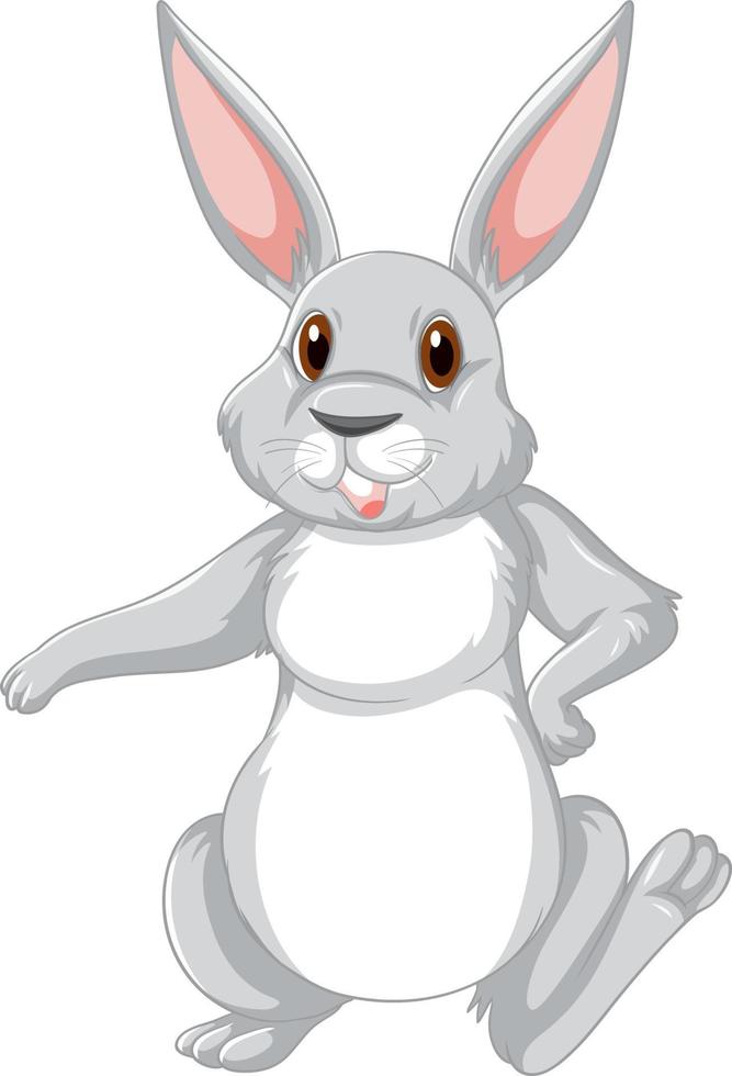 lindo personaje de dibujos animados de conejo gris vector