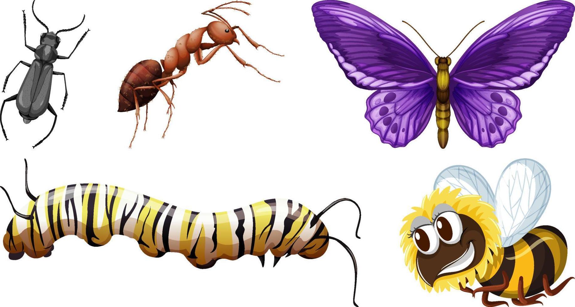 conjunto de diferentes tipos de insectos vector