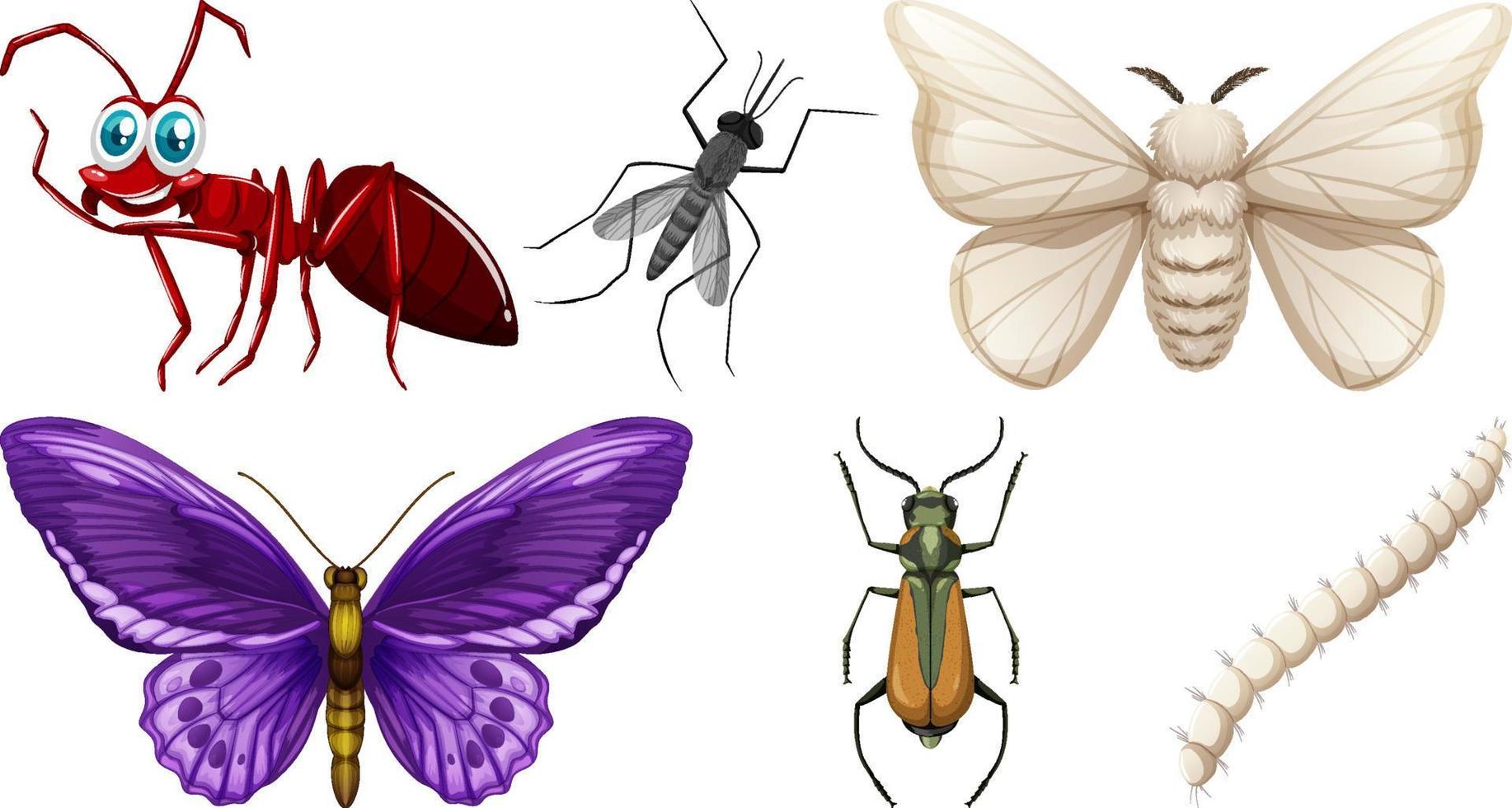 conjunto de diferentes tipos de insectos vector