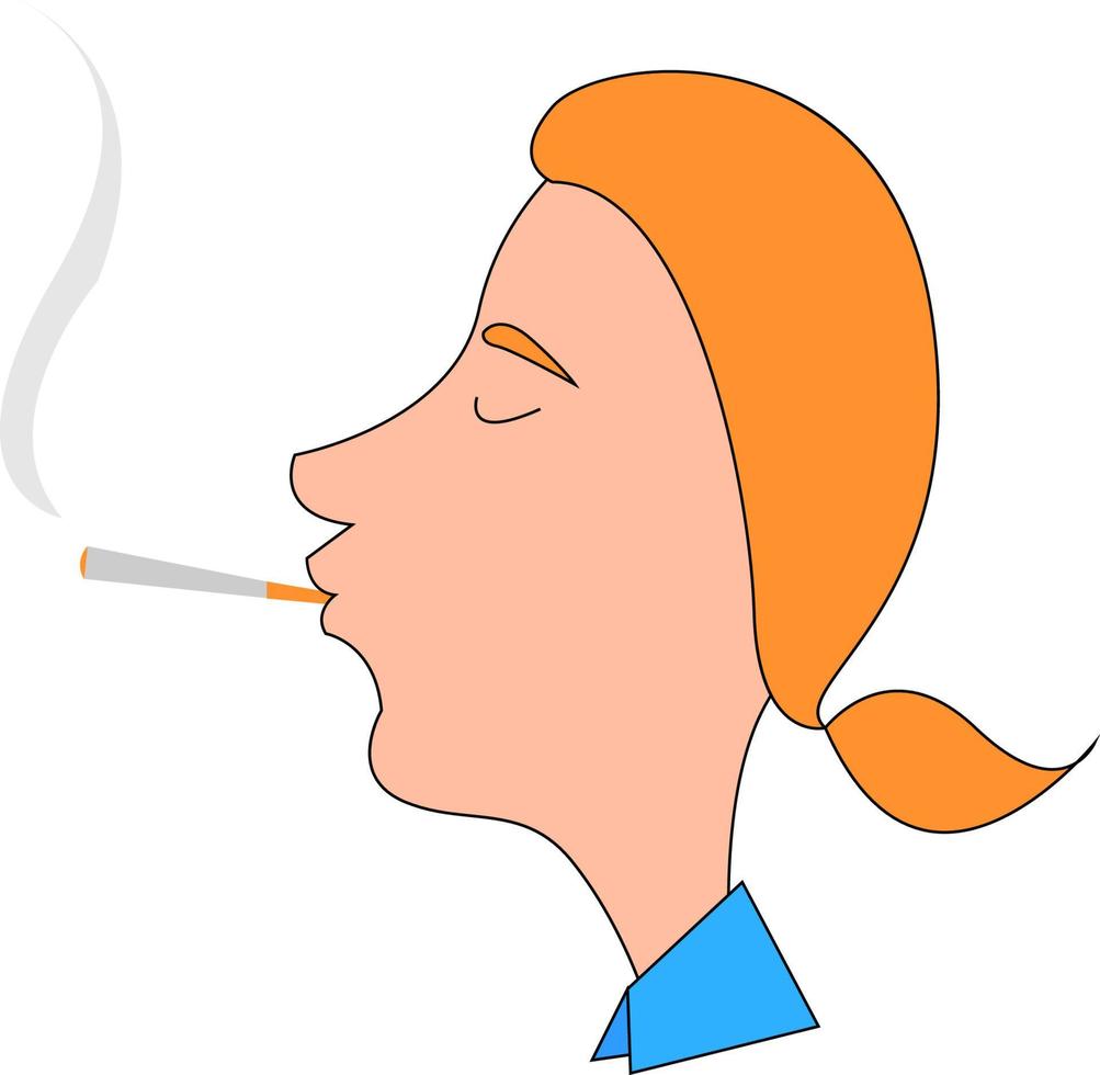 Man smoking cigar, illustration, vector on white background.