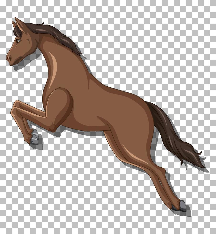 Brown horse on grid background vector