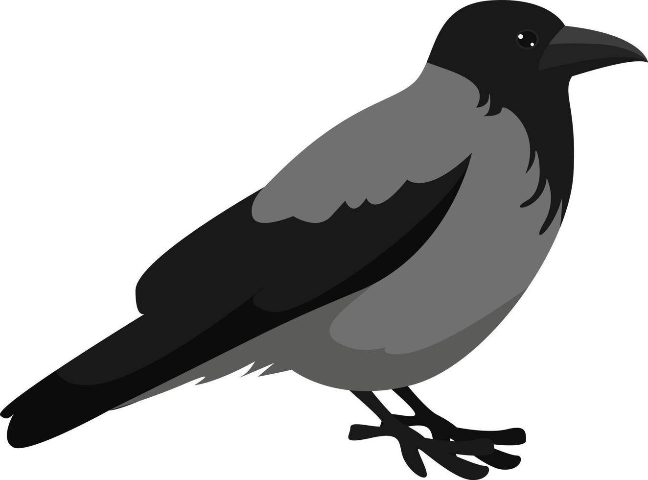 Black crow, illustration, vector on white background