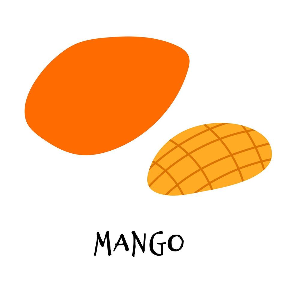 Vector illustration of ripe apricot in hand drawn flat style.