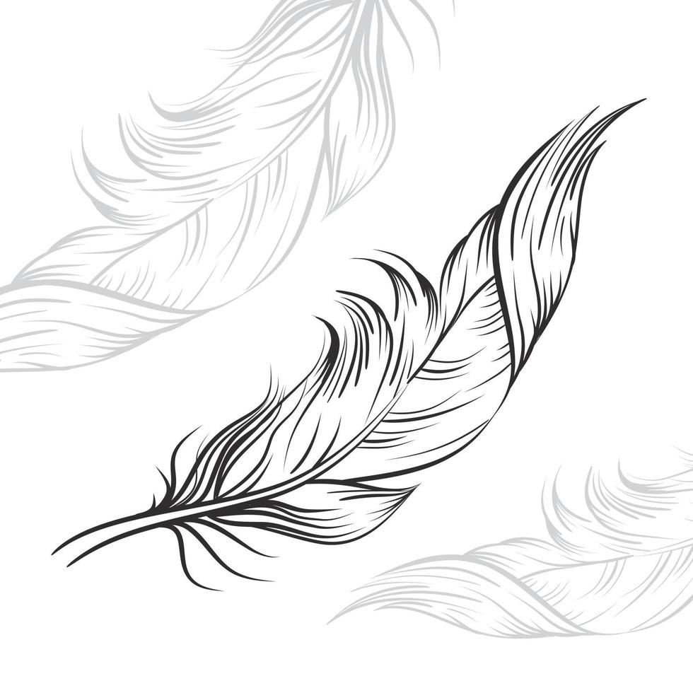 vector drawing black feathers on a white background
