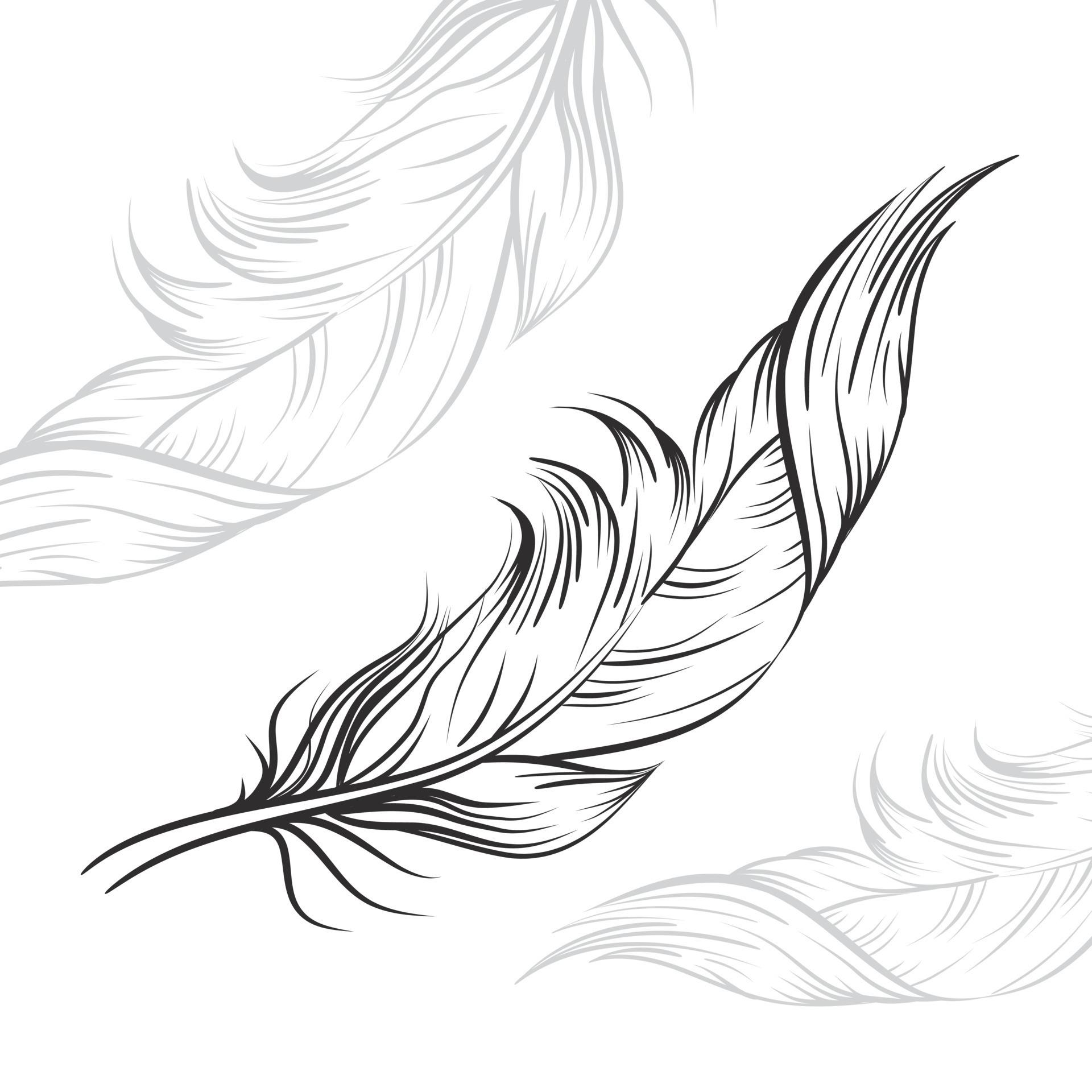 vector drawing black feathers on a white background 13764266 Vector Art at  Vecteezy