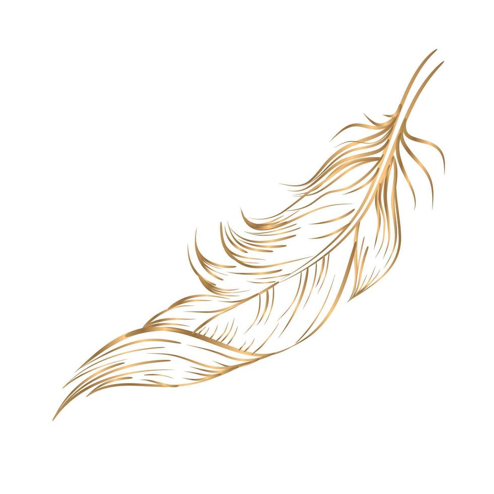 vector drawing golden feathers on a white background