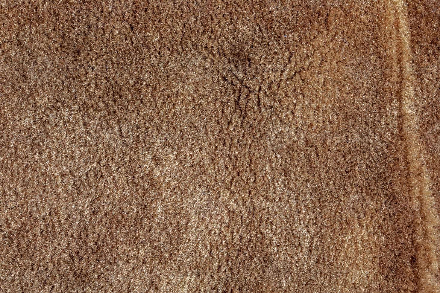 Background picture of a soft fur beige carpet. Wool sheep fleece closeup texture background. Top view. photo