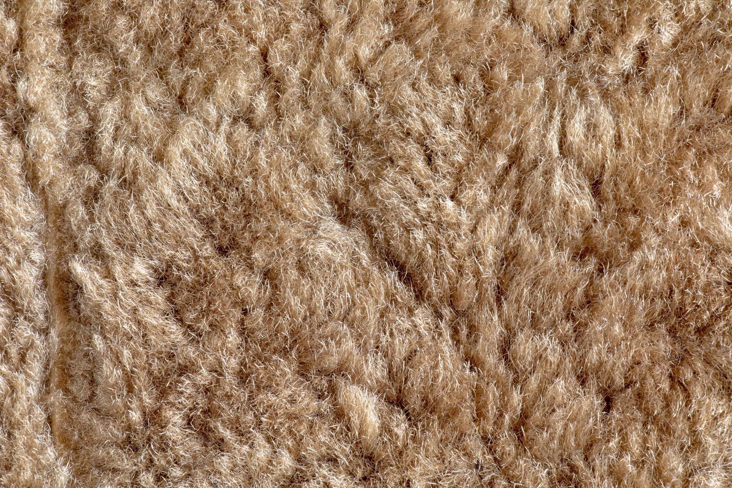 Background picture of a soft fur beige carpet. Wool sheep fleece closeup texture background. Top view. photo