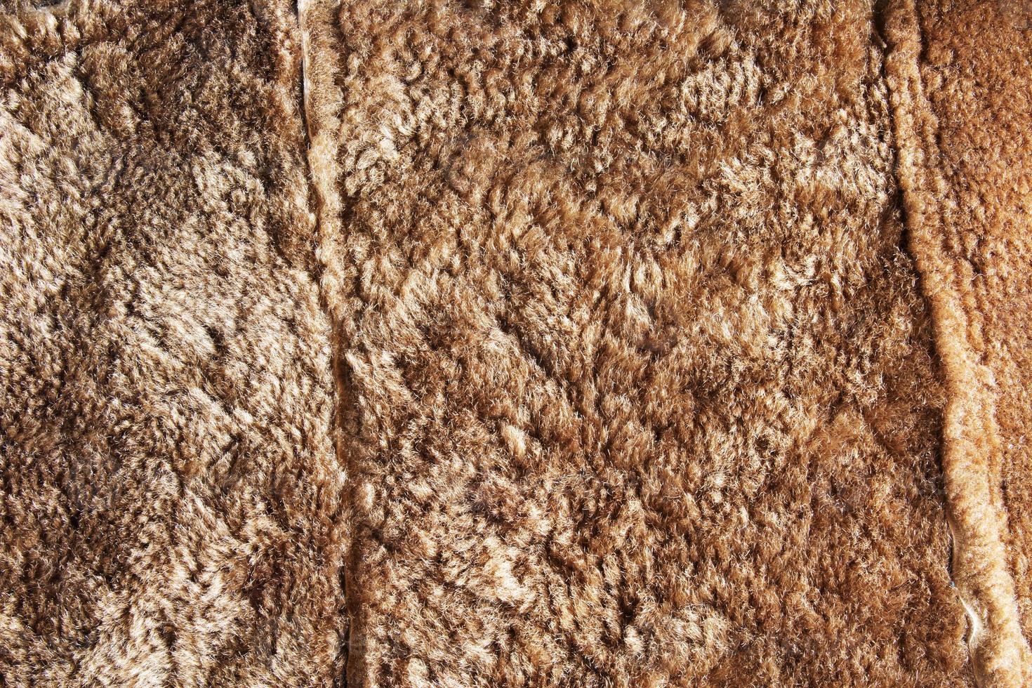 Background picture of a soft fur beige carpet. Wool sheep fleece closeup texture background. Top view. photo