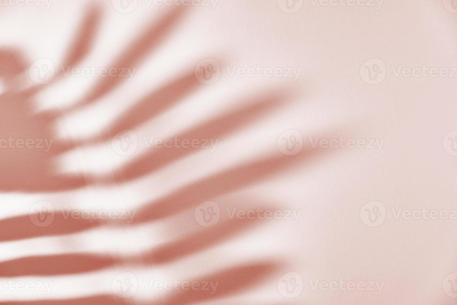 Leaf shadow on pink background. Creative abstract background photo