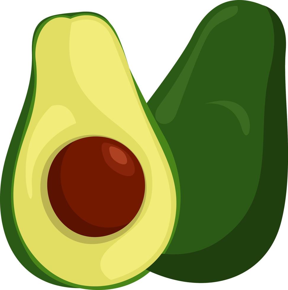 Ripe avocado, illustration, vector on white background.