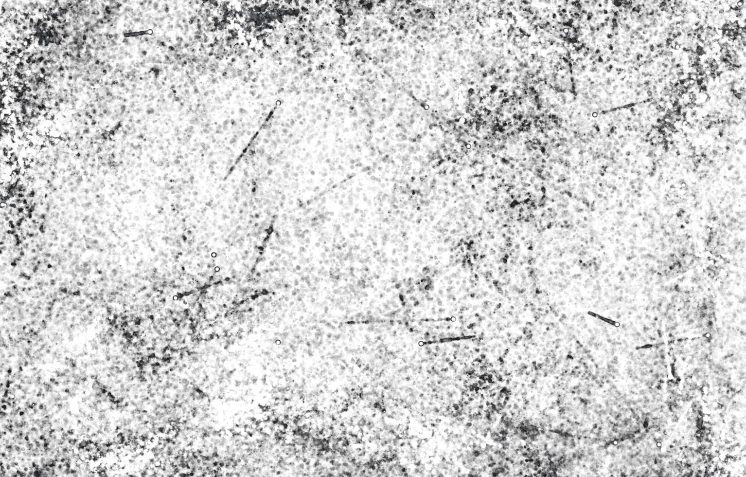 Grunge Black and White Distress Texture.Dust Overlay Distress Grain ,Simply Place illustration over any Object to Create grungy Effect. photo
