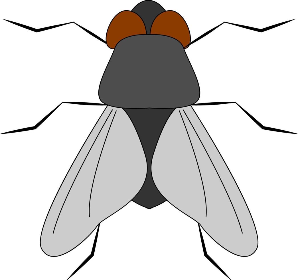 Mosca de pie, ilustración, vector sobre fondo blanco.