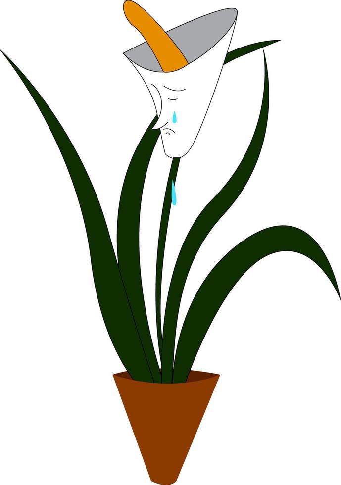 triste flor blanca, vector o ilustración en color.