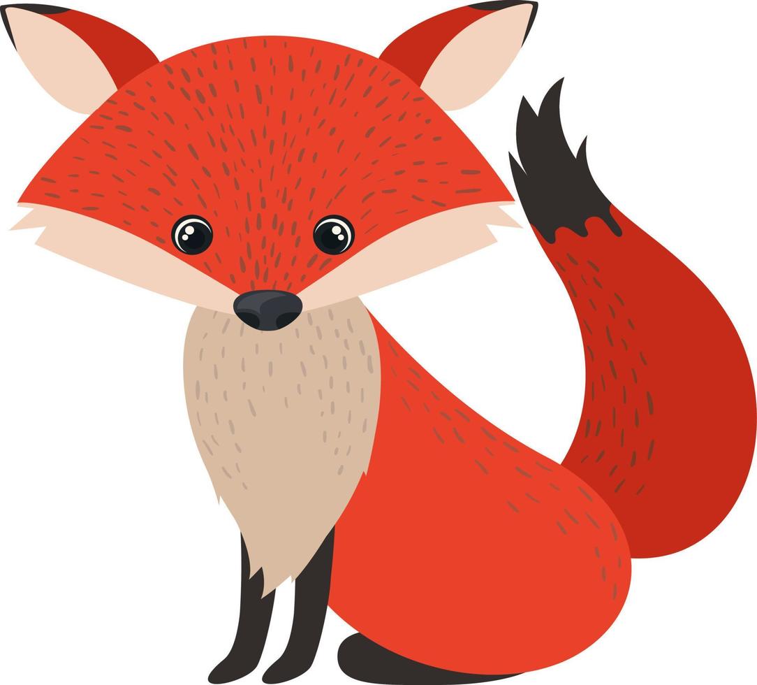 Cute red fox, illustration, vector on white background.