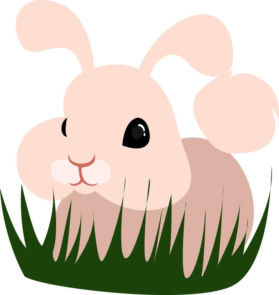 Conejito rosa en la hierba, ilustración, vector sobre fondo blanco.