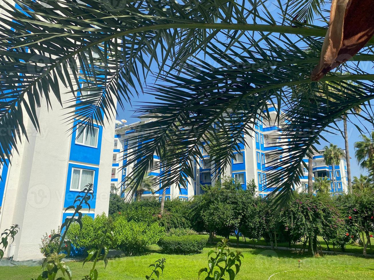 Beautiful large green leaves and branches of a palm tree against the backdrop of hotel buildings in a warm tropical country, resort photo