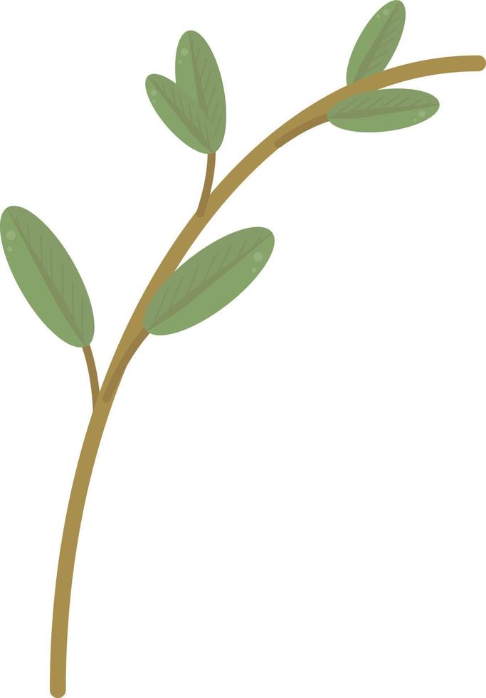 Green branch, illustration, vector on white background.